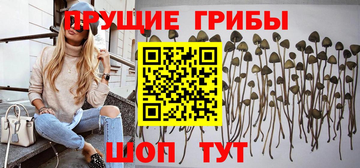 Красноуфимск  Псилоцибиновые грибы GOLDEN TEACHER  Вход с VPN 