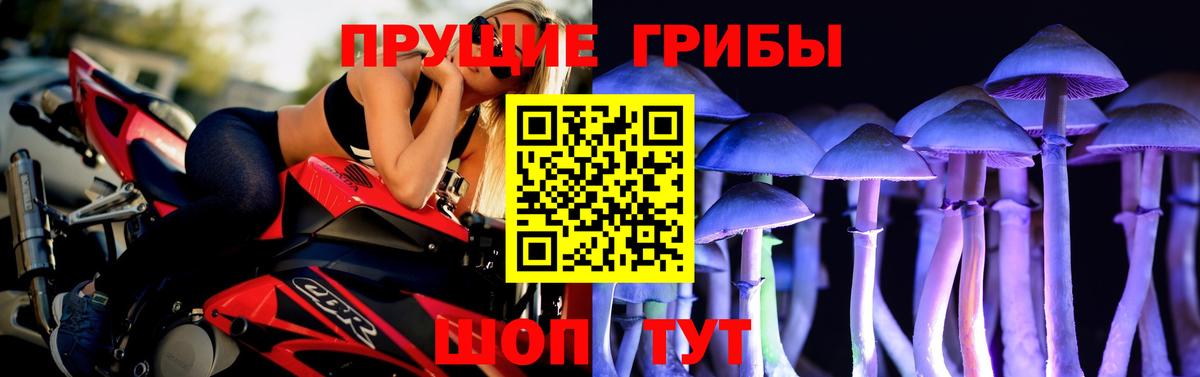 Псилоцибиновые грибы прущие грибы Красноуфимск